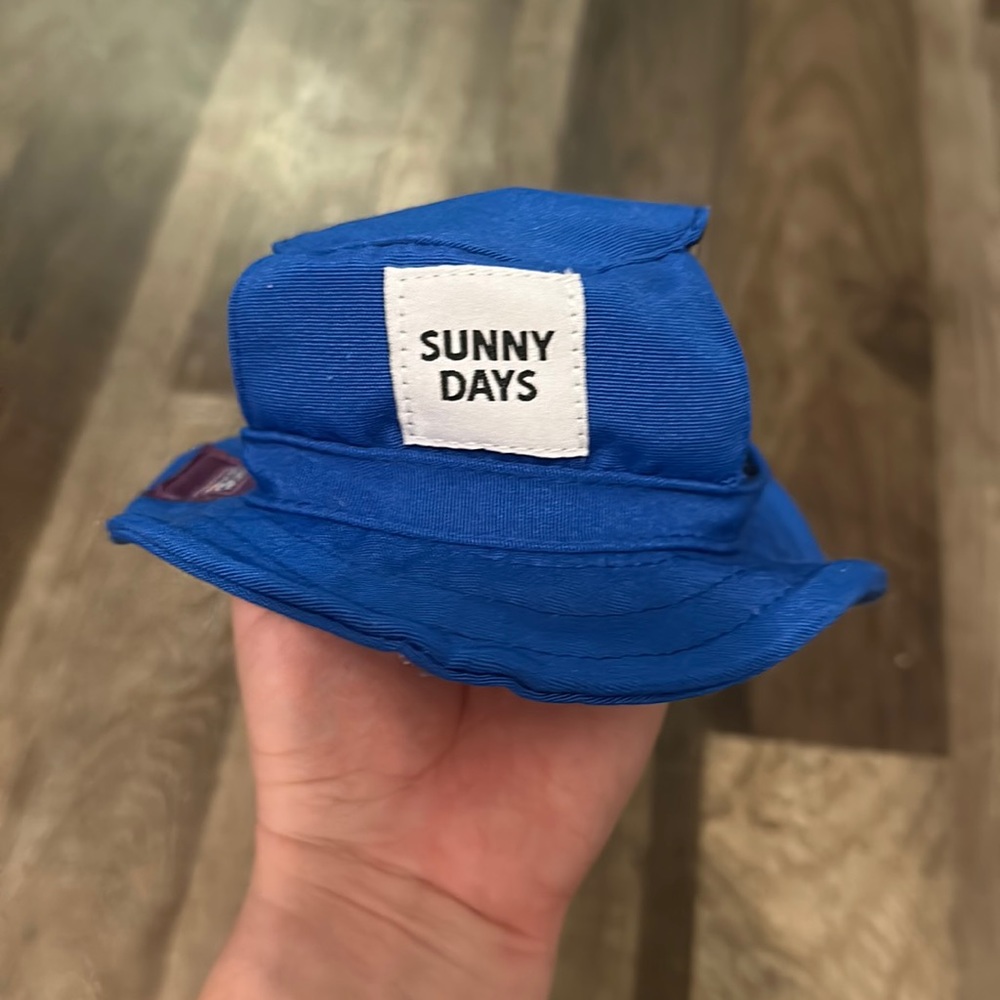 Pet hat